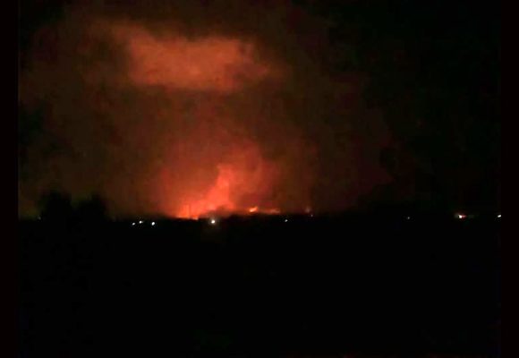 Tunisie | Plus de 4 000 ha de forêts ravagés en deux semaines