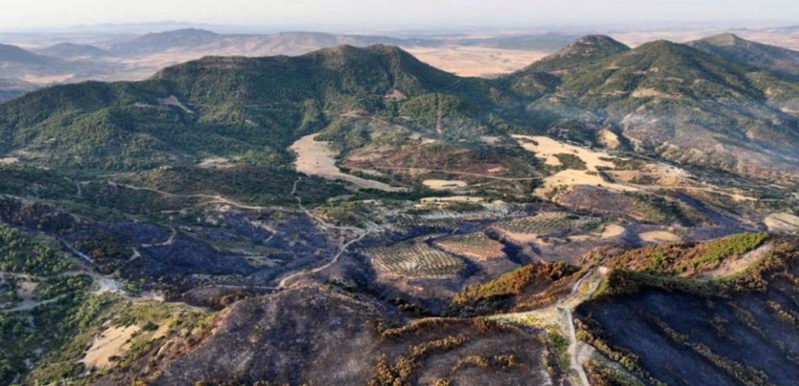 Jebel-Chahma-Zaghouan-apres-Incendie Zaghouan | L’incendie de forêt à Jebel Chahma enfin maîtrisé