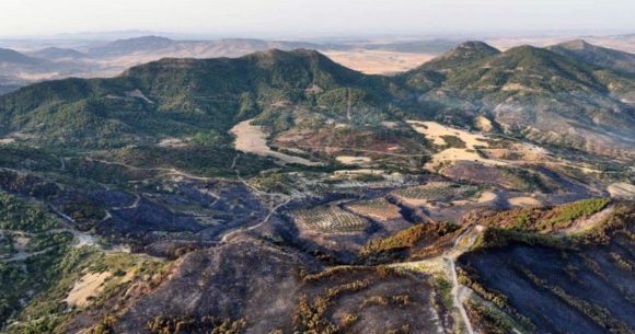 Jebel-Chahma-Zaghouan-apres-Incendie Zaghouan | L’incendie de forêt à Jebel Chahma enfin maîtrisé