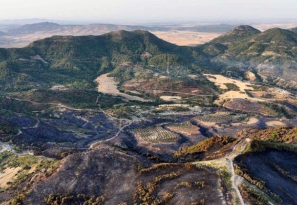 Jebel-Chahma-Zaghouan-apres-Incendie Zaghouan | L’incendie de forêt à Jebel Chahma enfin maîtrisé