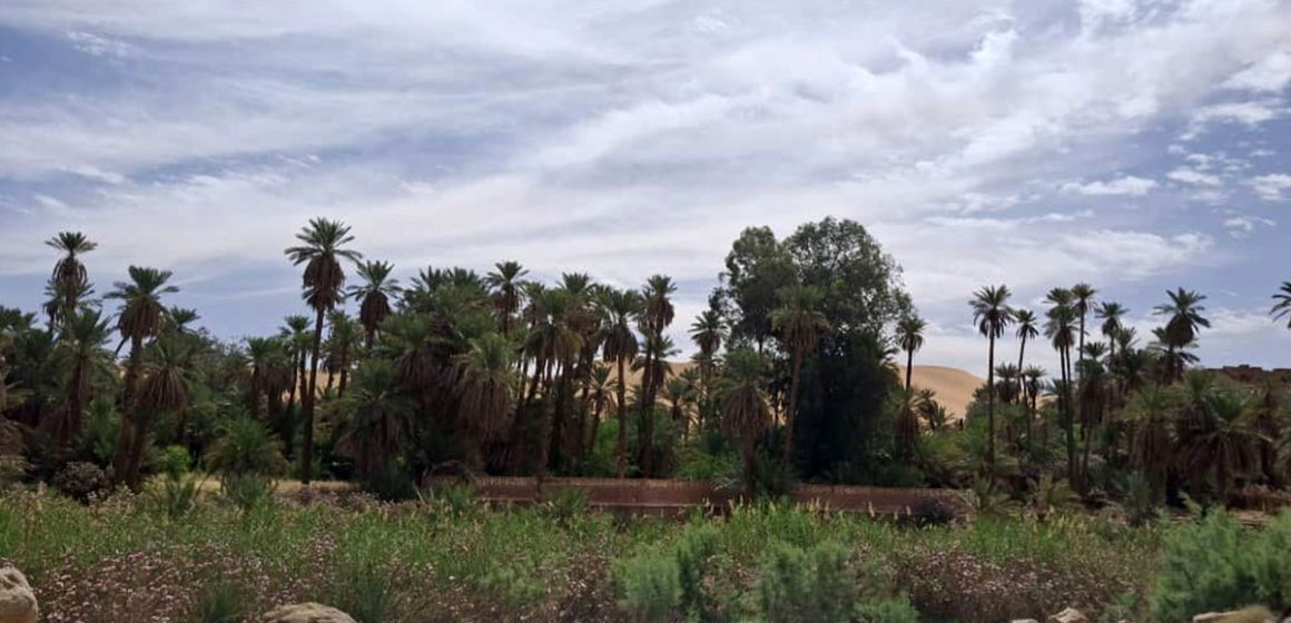 Ce que les ksour du Sahara peuvent enseigner à un monde en surchauffe