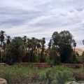 Ce que les ksour du Sahara peuvent enseigner à un monde en surchauffe