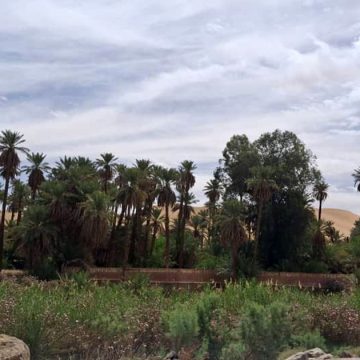 Ce que les ksour du Sahara peuvent enseigner à un monde en surchauffe