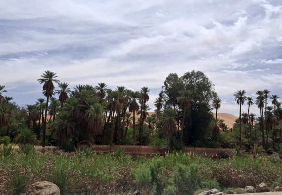 Ce que les ksour du Sahara peuvent enseigner à un monde en surchauffe