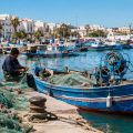 La Tunisie face à la crise de la crevette rouge
