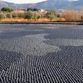 Tunisie l Une technologie innovante pour réduire l’évaporation de l’eau