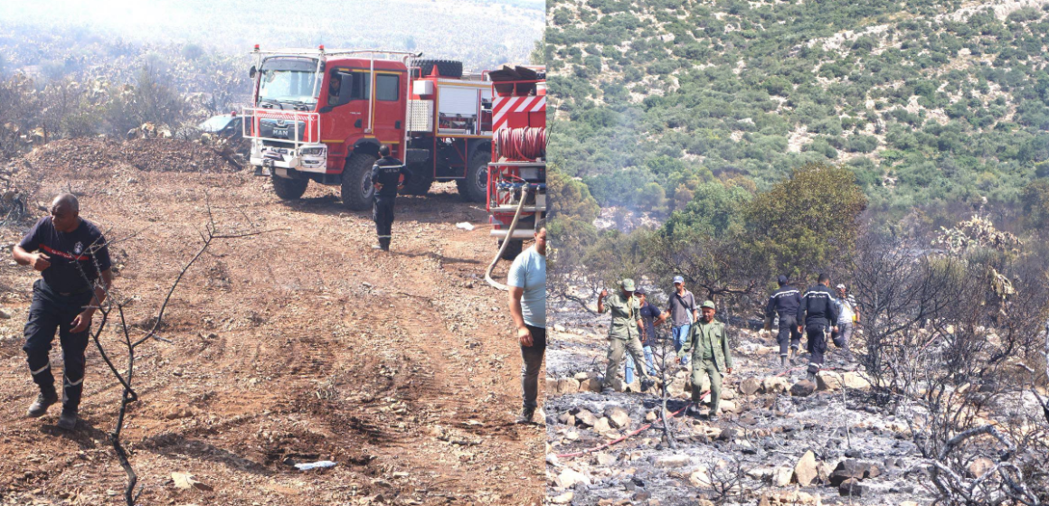 incendie Bargou Siliana | L’incendie de Jebel Masmoudine à Bargou maîtrisé