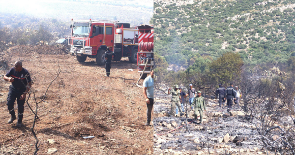incendie Bargou Siliana | L’incendie de Jebel Masmoudine à Bargou maîtrisé