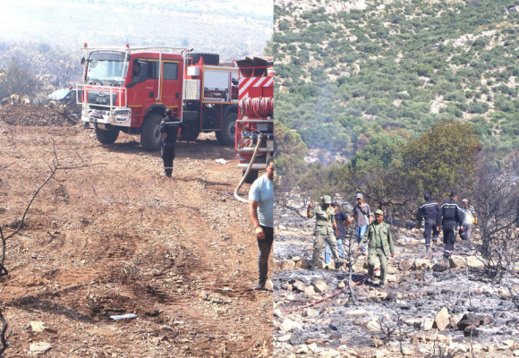 incendie Bargou Siliana | L’incendie de Jebel Masmoudine à Bargou maîtrisé