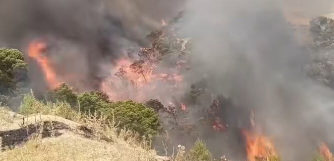 incendie Kef Kef | Mobilisation contre deux importants incendies à Nebeur et Sakiet Sidi Youssef