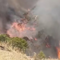 Kef | Mobilisation contre deux importants incendies à Nebeur et Sakiet Sidi Youssef