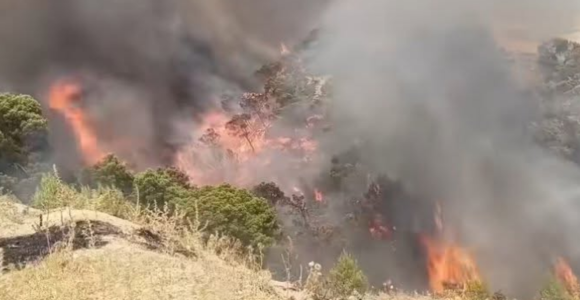 Kef | Mobilisation contre deux importants incendies à Nebeur et Sakiet Sidi Youssef