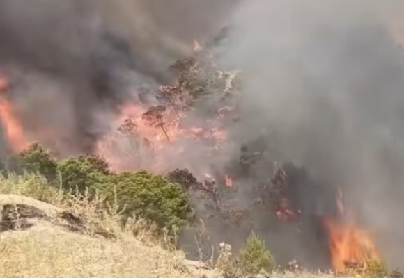 Kef | Mobilisation contre deux importants incendies à Nebeur et Sakiet Sidi Youssef