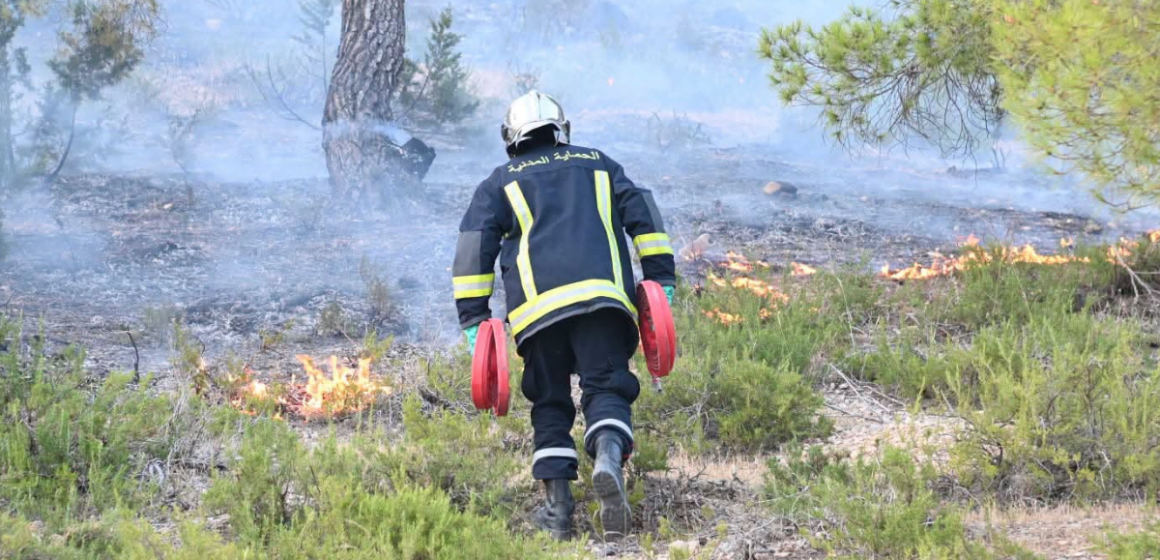 A propos de l&rsquo;incendie de Jebel Boughanem au Kef (DGPC)