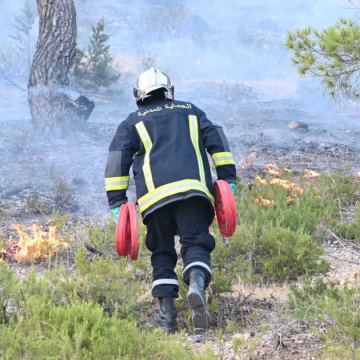 pompier incendie A propos de l’incendie de Jebel Boughanem au Kef (DGPC)