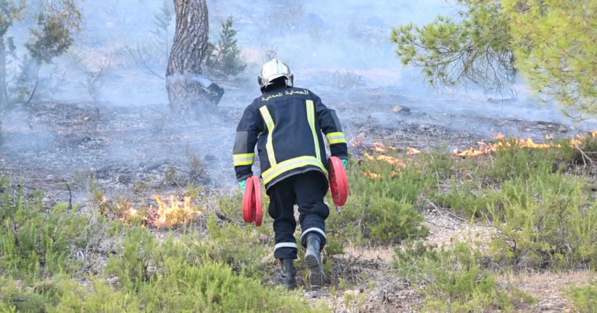 pompier incendie A propos de l’incendie de Jebel Boughanem au Kef (DGPC)