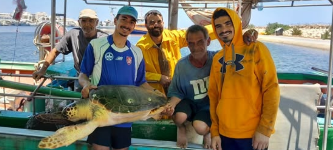 tortues marines Deux tortues marines sauvées grâce à la vigilance de pêcheurs