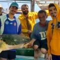 Deux tortues marines sauvées grâce à la vigilance de pêcheurs