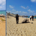 Nefza | Vaste campagne pour libérer les plages du domaine public maritime