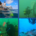 Djerba : L&rsquo;Atutax et ses partenaires agissent contre les engins de pêche fantômes