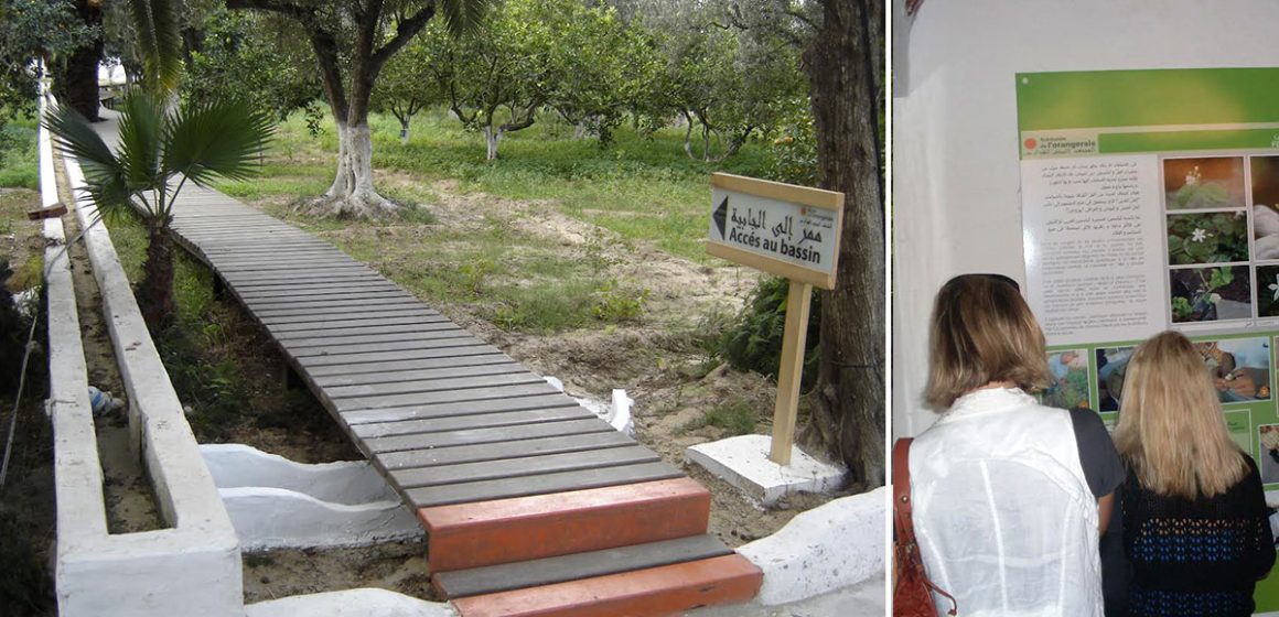 Des bénévoles pour réhabiliter l’écomusée de l’orangeraie de Hammamet