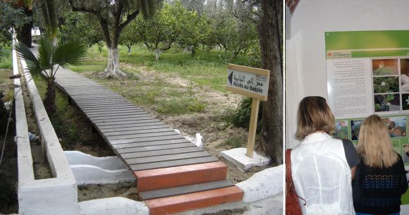 Des bénévoles pour réhabiliter l’écomusée de l’orangeraie de Hammamet