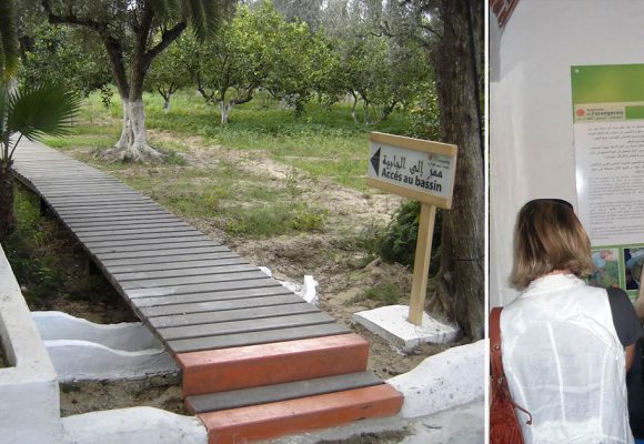 Ecomusee-Orangeraie-Hammamet Des bénévoles pour réhabiliter l’écomusée de l’orangeraie de Hammamet