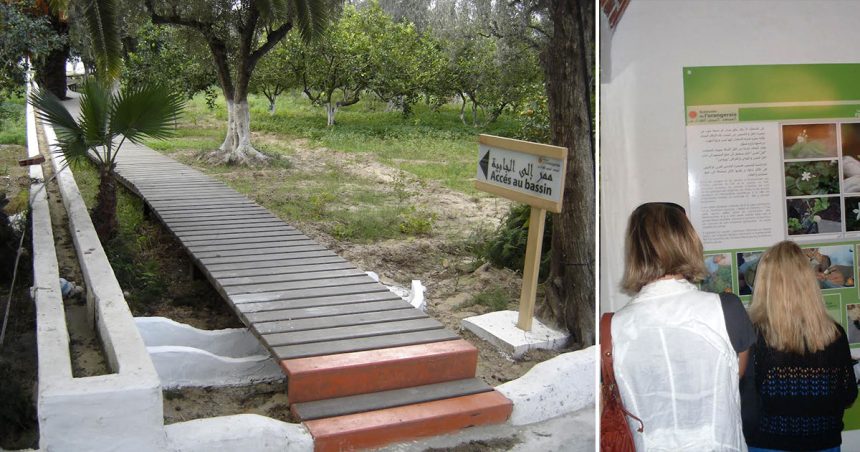 Ecomusee-Orangeraie-Hammamet Des bénévoles pour réhabiliter l’écomusée de l’orangeraie de Hammamet