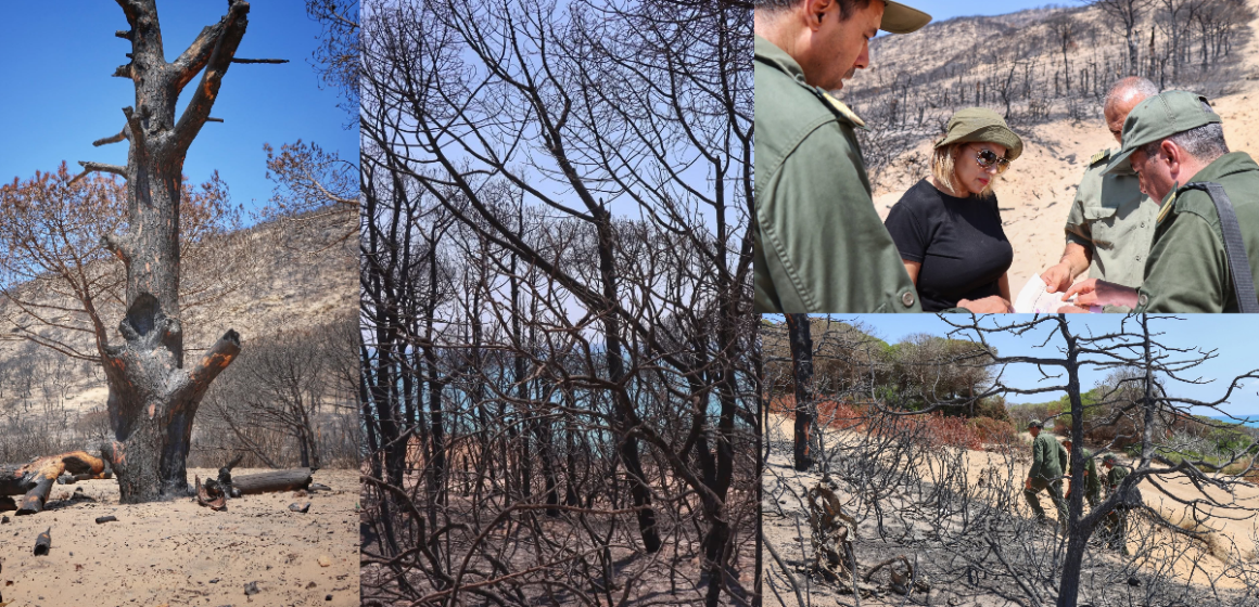 F Ghar el Melh Forêt de Ghar El Melh : Évaluation des dégâts et plan de réhabilitation après le récent incendie