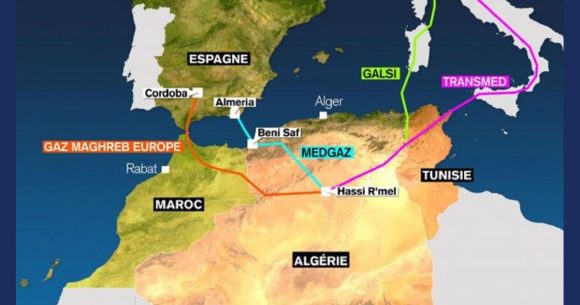 Transmed | Du mythe de la «jugulaire» à la réalité des chiffres