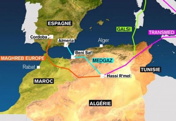 Transmed | Du mythe de la «jugulaire» à la réalité des chiffres