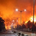 Algérie | Trois jours de deuil après une nuit de feu et de mort