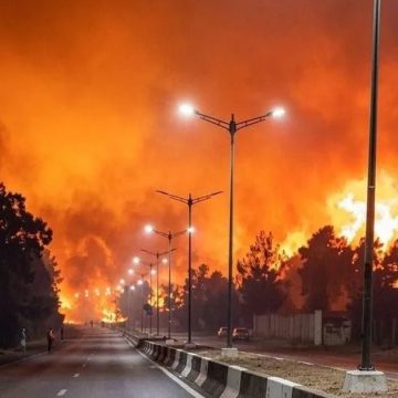 Incendie-Algerie-Jijel Algérie | Trois jours de deuil après une nuit de feu et de mort