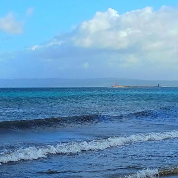Plage de Sidi Salem à Bizerte | Oued Harraga au cœur d’une alerte écologique