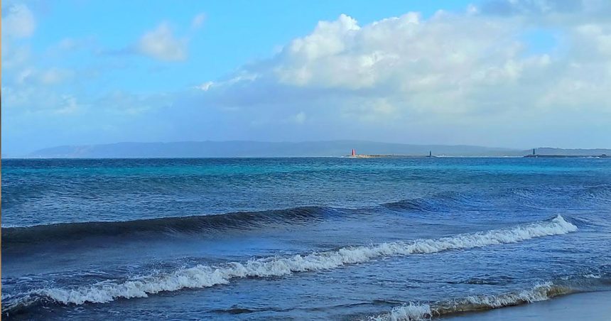 Plage-Sidi-Salem-Bizerte Plage de Sidi Salem à Bizerte | Oued Harraga au cœur d’une alerte écologique