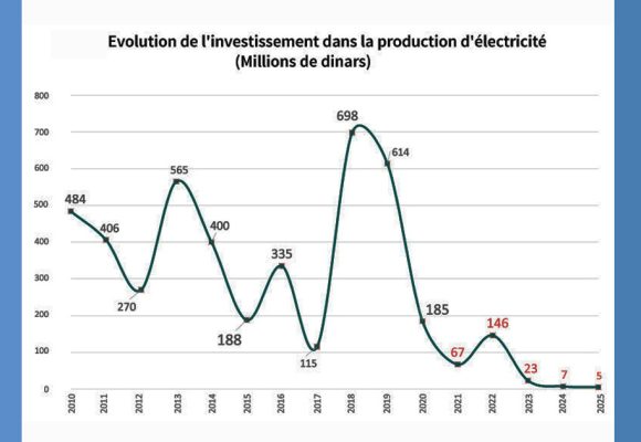 Tunisie | L’OTE pointe la responsabilité de l’exécutif dans les coupures d’électricité