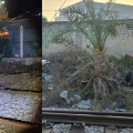 Ligne TGM | Le ras-le-bol de la Transtu face aux incivilités !