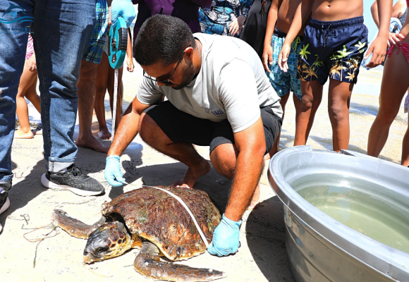Monastir | « Yakine-Yassine », une tortue marine secourue et prise en charge par l&rsquo;INSTM