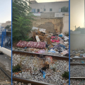 Jets de déchets sur les voies de la ligne TGM | La Transtu portera plainte