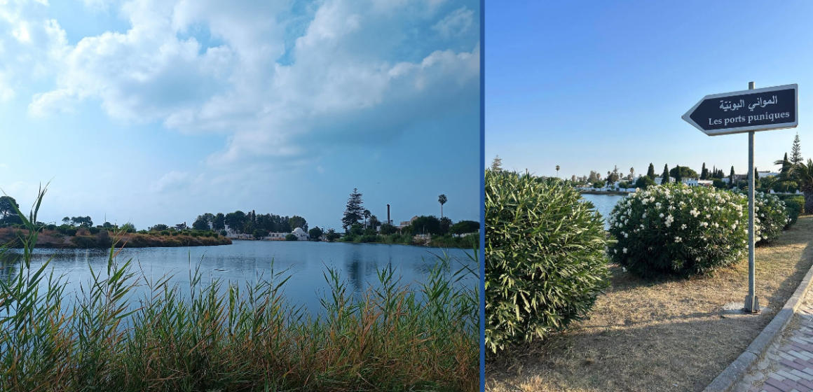 nettoyage sites archéologiques Carthage AMVPPC | L’opération de nettoyage des sites archéologiques se poursuit à Carthage