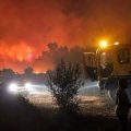 Trois jours après, l’incendie de Bargou non encore maîtrisé