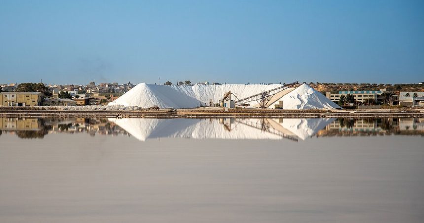 Marais-salant-Monastir La Tunisie, son sel et son pétrole | Que vaut une souveraineté sans capacité ?
