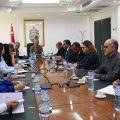 Electricité | Un comité de pilotage tunisien pour le projet Elmed