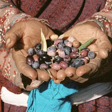 L’huile d’olive tunisienne doit monter en gamme