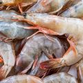 TunSea | Les crevettes blanches actuellement en vente en Tunisie sont saines  