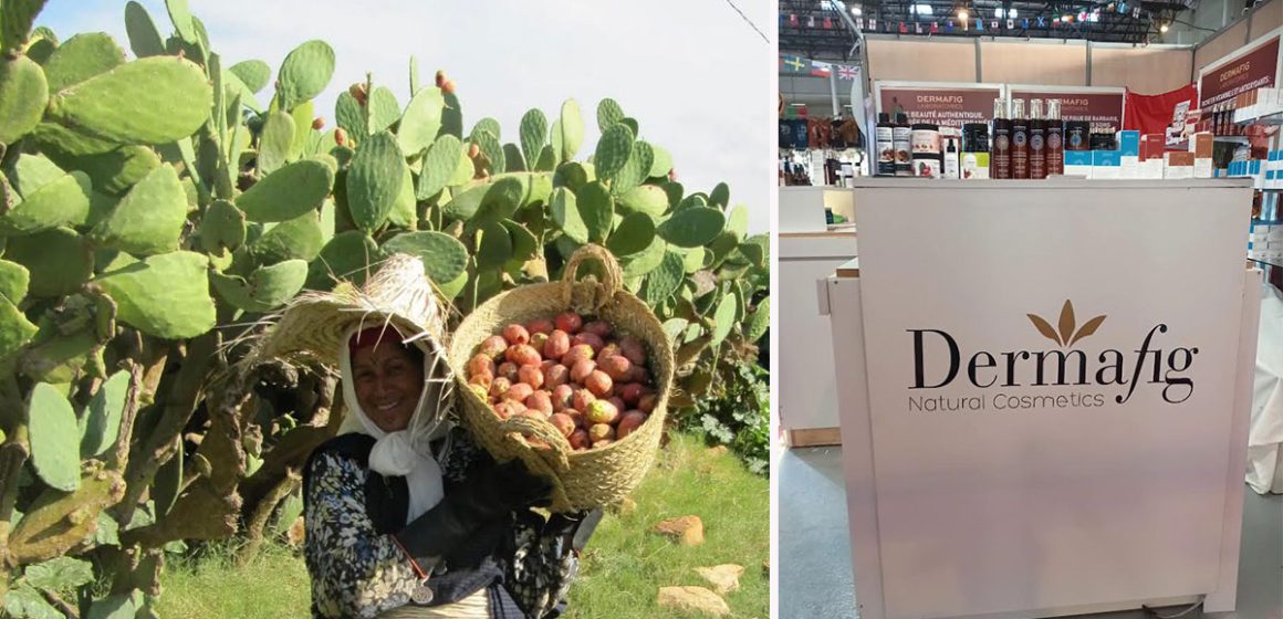 Dermafig donne une nouvelle vie à la figue de Barbarie tunisienne