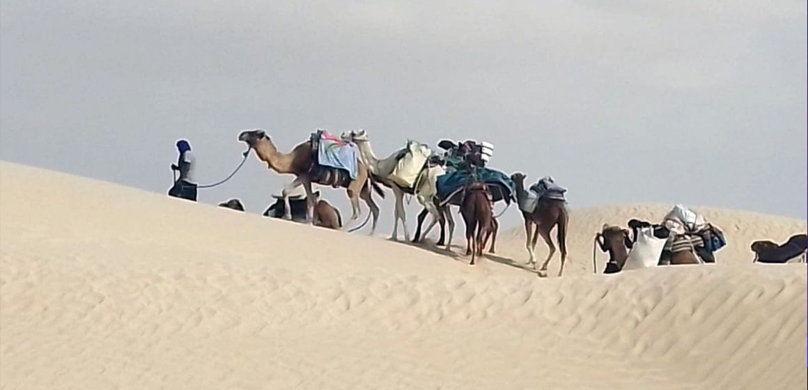 Desert-Voyages Desert Voyages | Le Sahara tunisien comme lieu méditation