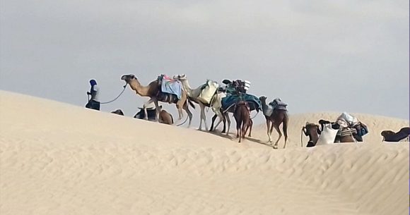Desert Voyages | Le Sahara tunisien comme lieu méditation