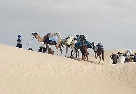Desert Voyages | Le Sahara tunisien comme lieu méditation