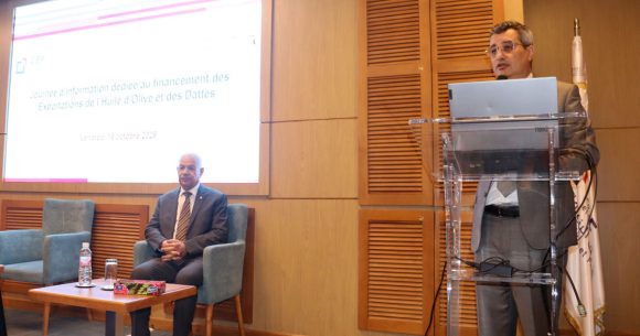 Tunisie | Le financement de la campagne de l’huile d’olive et des dattes sous de bons auspices